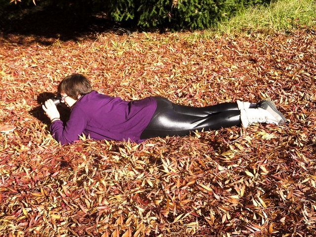 Capturing that ShotPhotography by Judy Hofmeyer